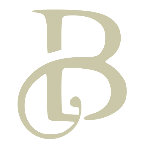 cropped-logo_b_500x500.png